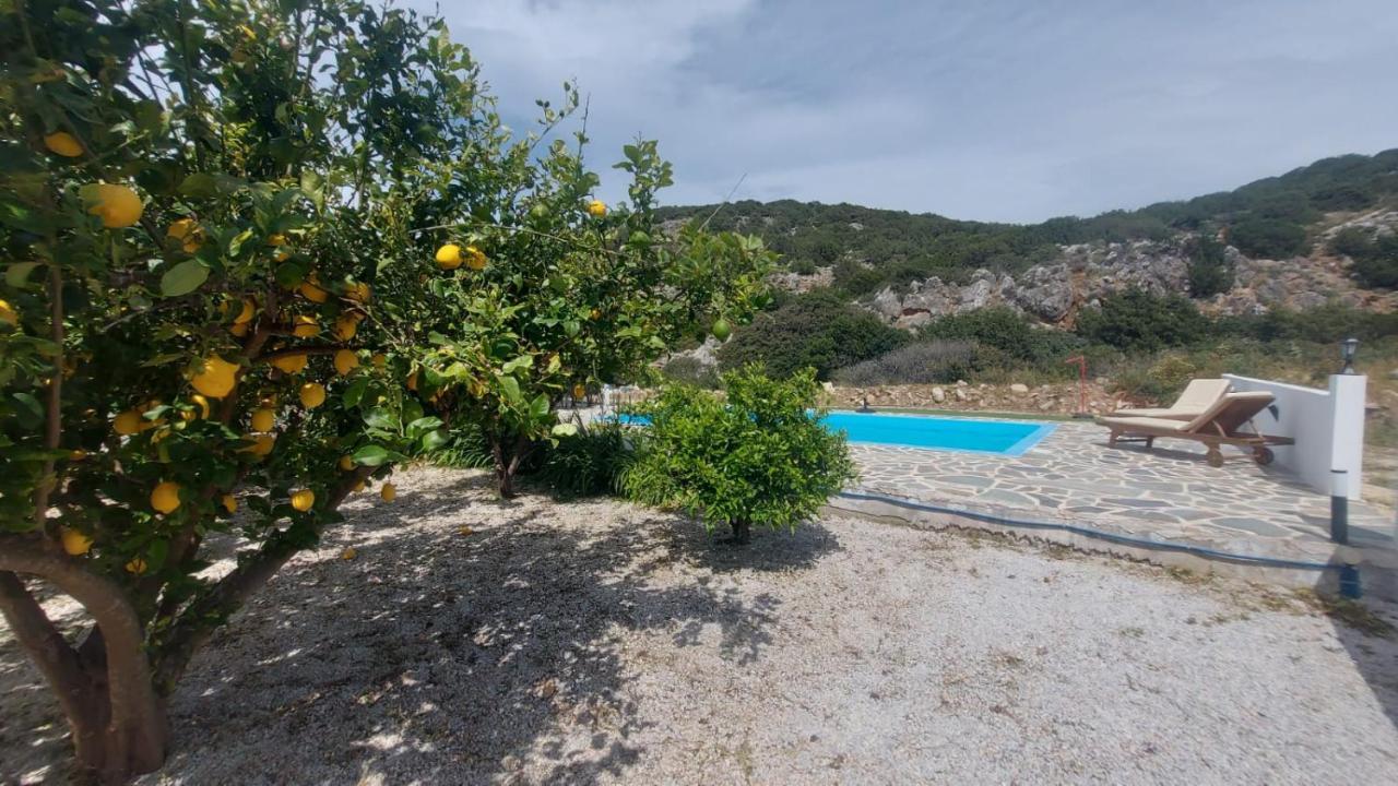 Villa Edna Crete